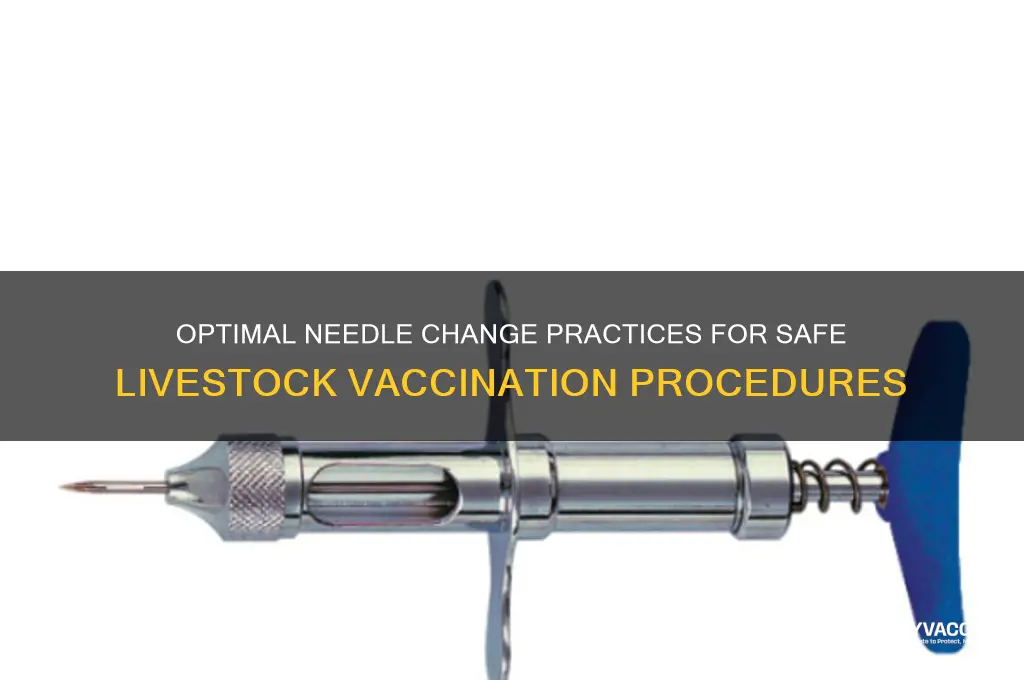 when to change needles during vaccines of livestock