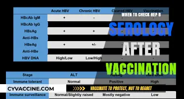 Optimal Timing for Hepatitis B Serology Post-Vaccination: A Guide