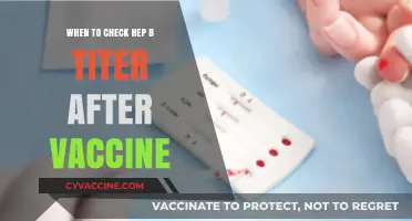 When to Check Hepatitis B Titer Post-Vaccination: A Guide