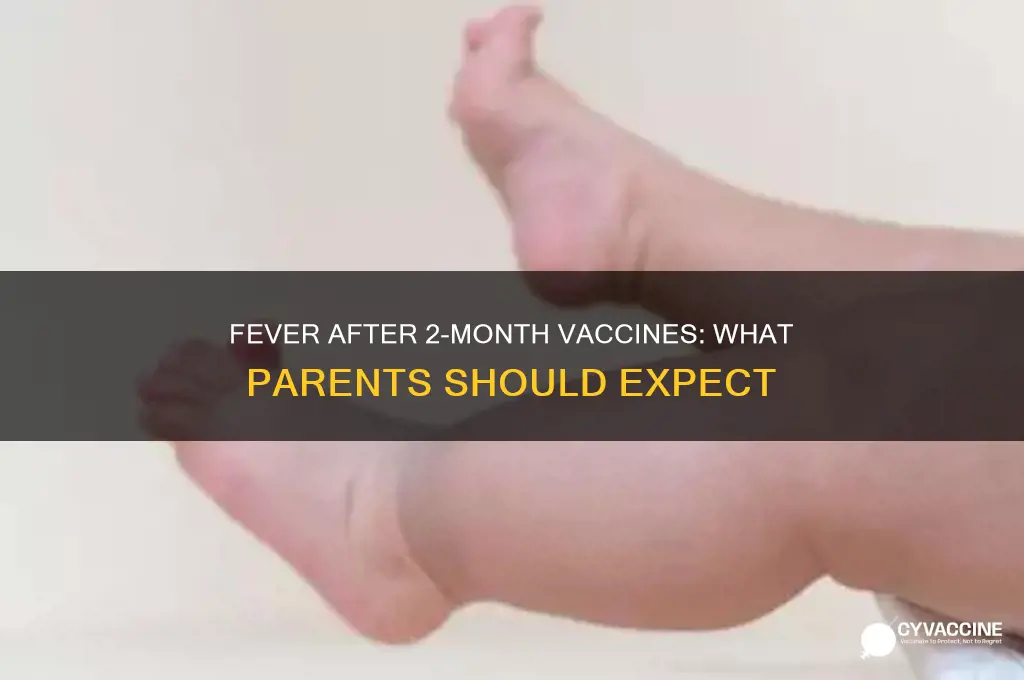 when to expect fever after 2 month vaccines