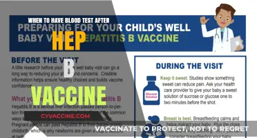 Optimal Timing for Blood Tests Post Hepatitis B Vaccination