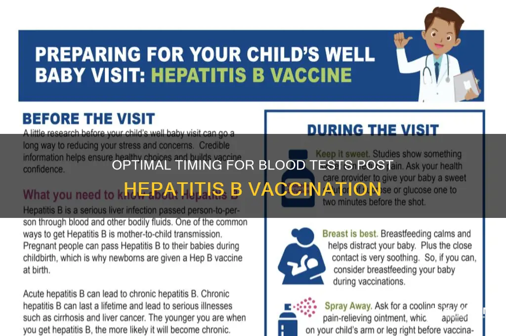when to have blood test after hep b vaccine