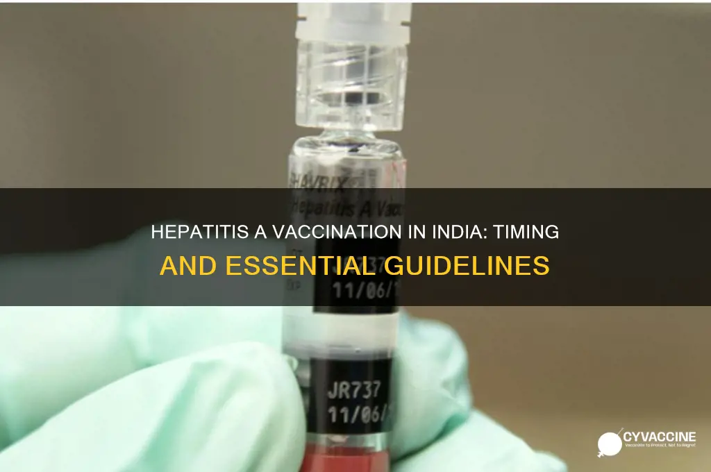 when to put hepatitis a vaccination in india