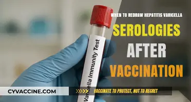 Timing of Hepatitis Varicella Serology Redraw Post-Vaccination: A Guide