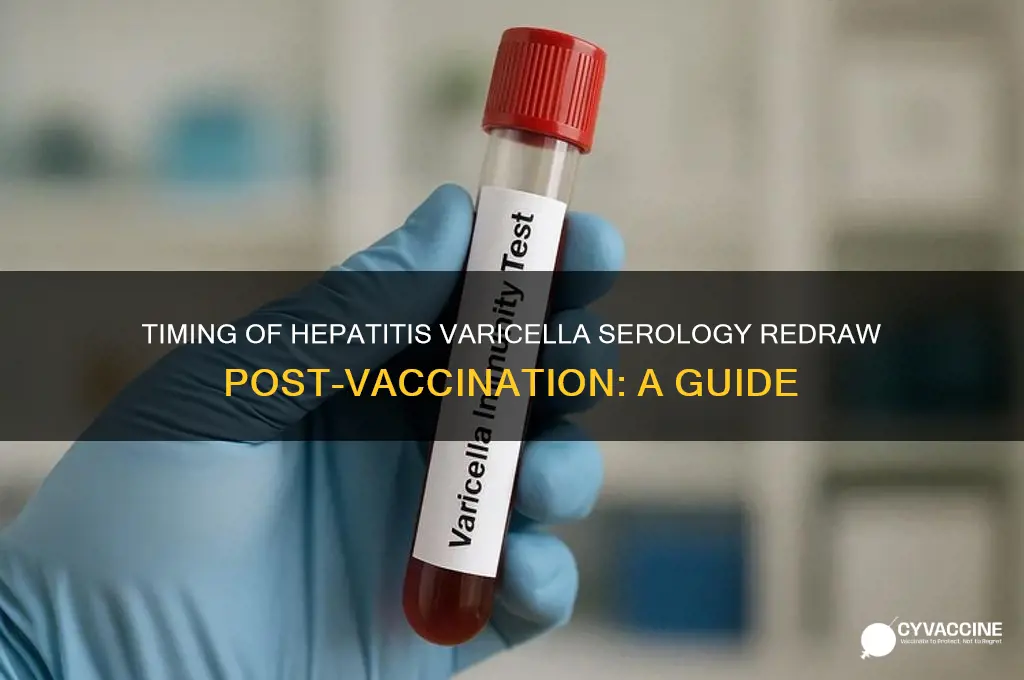 when to redraw hepatitis varicella serologies after vaccination