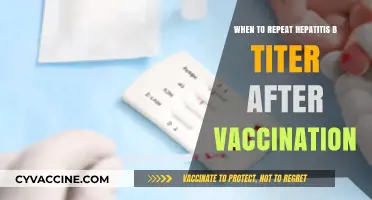 When to Re-Test Hepatitis B Antibody Levels Post-Vaccination