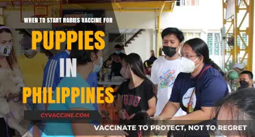 Rabies Vaccine Schedule for Puppies in the Philippines: A Guide