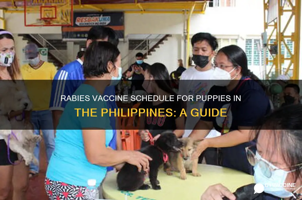 when to start rabies vaccine for puppies in philippines