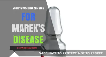 Optimal Timing for Marek's Disease Vaccination in Chickens