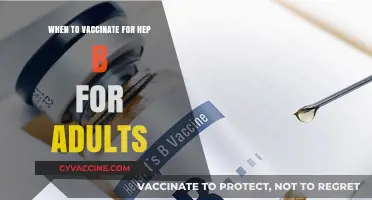 Hepatitis B Vaccination for Adults: Timing and Essential Guidelines