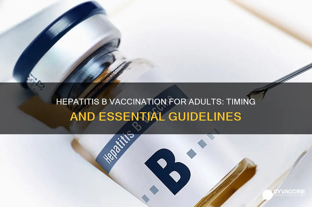 when to vaccinate for hep b for adults