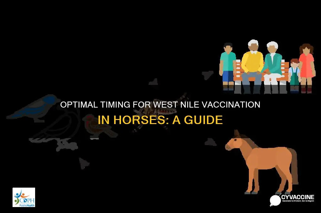 when to vaccinate for west nile in horses