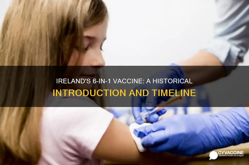 when was 6 in 1 vaccine introduced in ireland