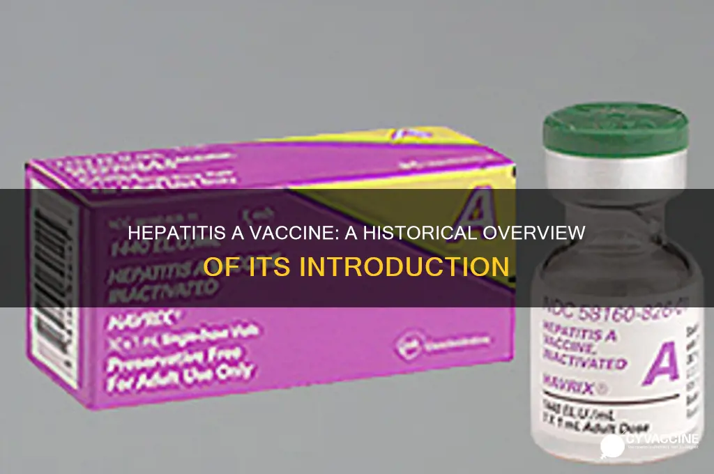 when was hep a vaccine introduced