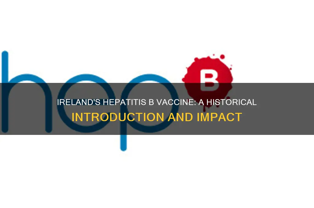 when was hep b vaccine introduced in ireland
