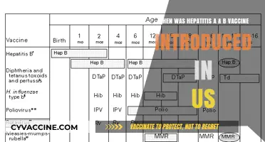Hepatitis A & B Vaccines: A Timeline of US Introduction