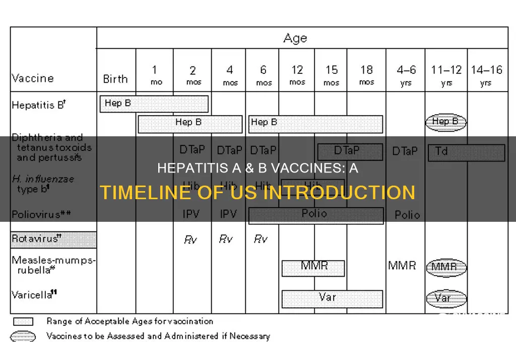 when was hepatitis a & b vaccine introduced in us