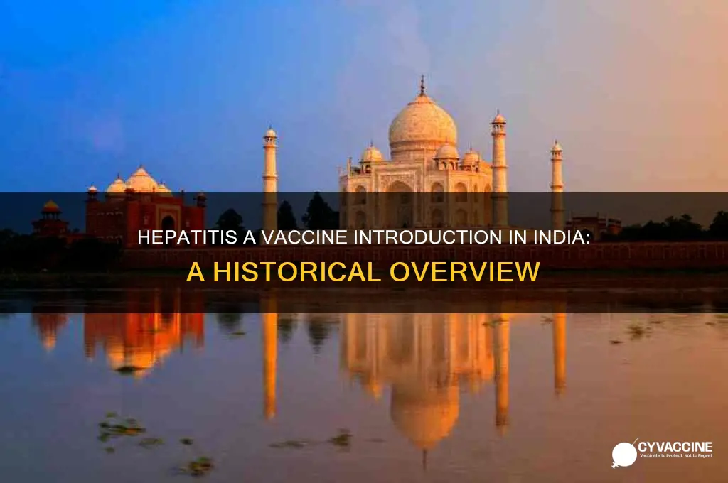 when was hepatitis a vaccine introduced in india