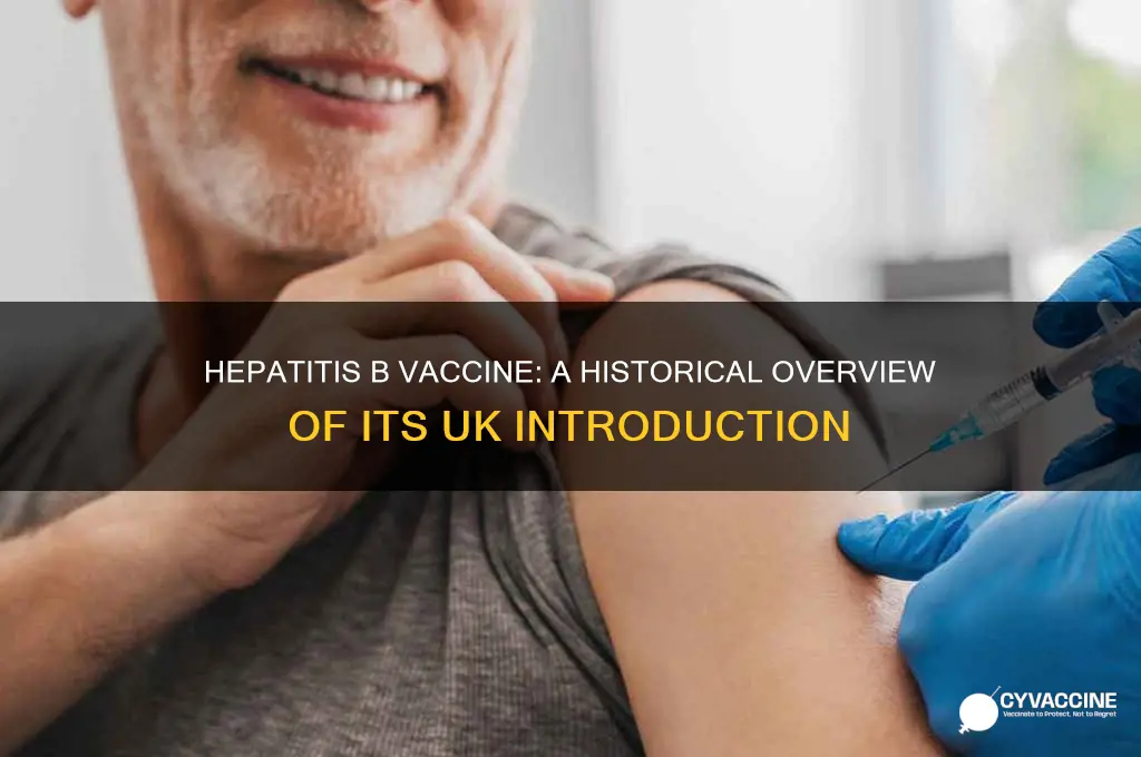 when was hepatitis b vaccine introduced in uk