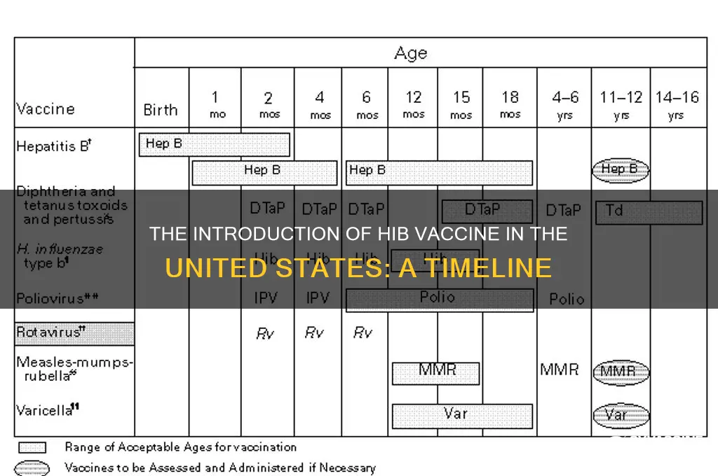 when was hib vaccine introduced to the us