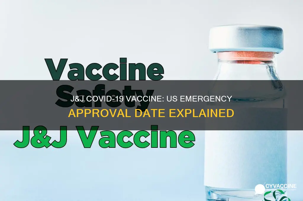 when was j&j vaccine approved in us