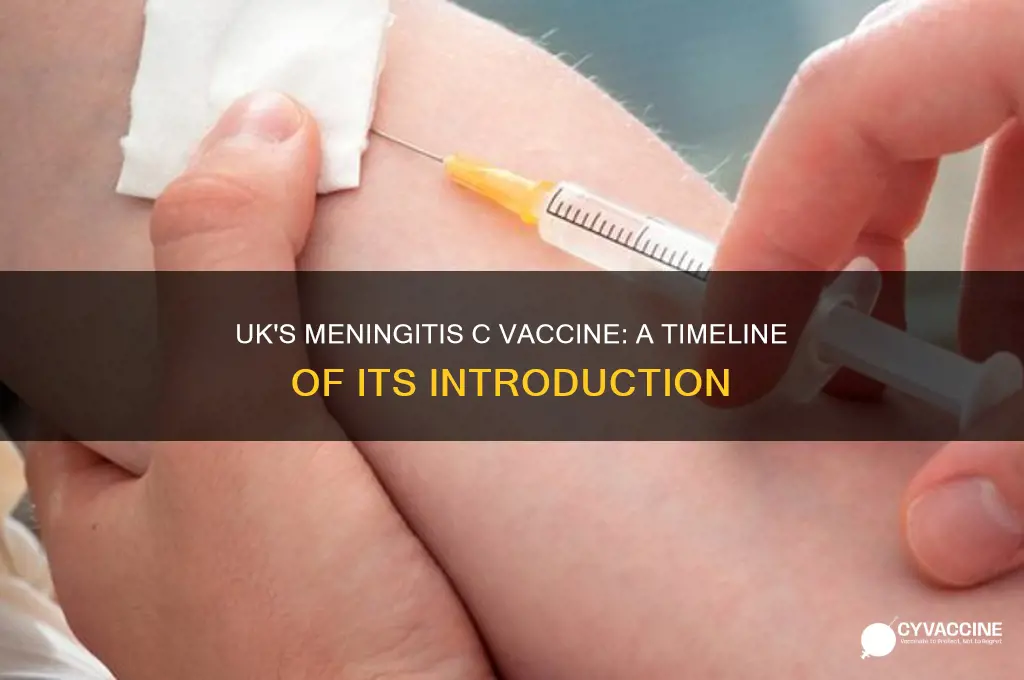 when was meningitis c vaccine introduced in uk