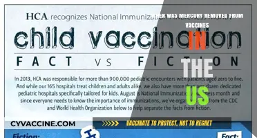 Mercury in Vaccines: When Did the US Phase It Out?