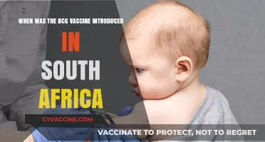 BCG Vaccine Introduction in South Africa: A Historical Overview