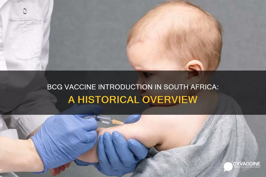 when was the bcg vaccine introduced in south africa