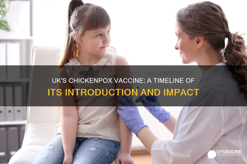 when was the chickenpox vaccine introduced in the uk