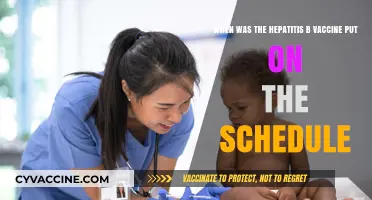 Hepatitis B Vaccine: When Did It Become a Routine Immunization?
