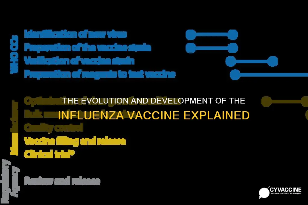 when was the influenza vaccine developed