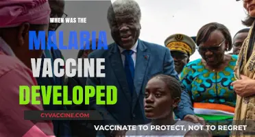 The Journey to Malaria Vaccine Development: A Historical Overview
