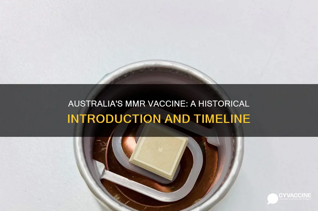 when was the mmr vaccine introduced in australia