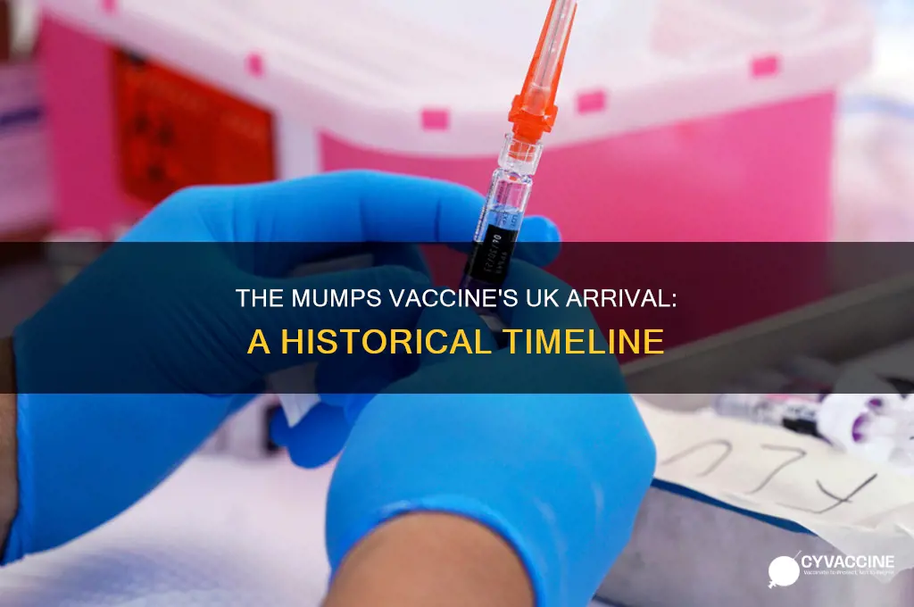 when was the mumps vaccine introduced in the uk