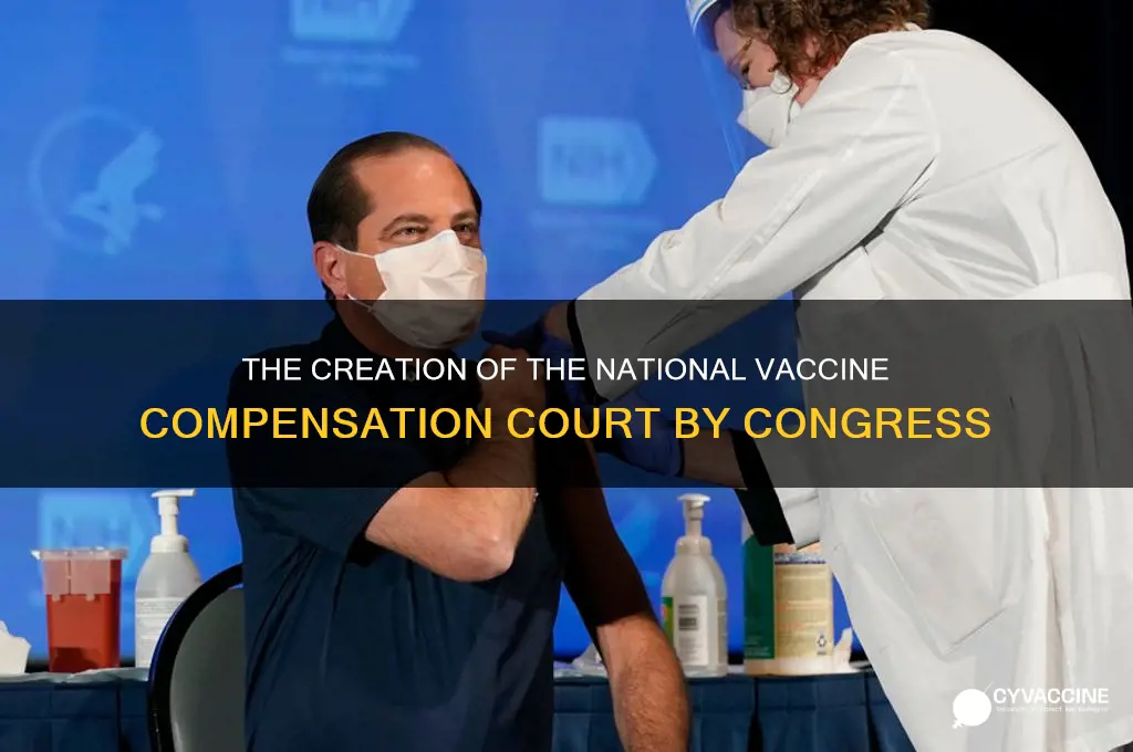 when was the national vaccine compensation court created by congress