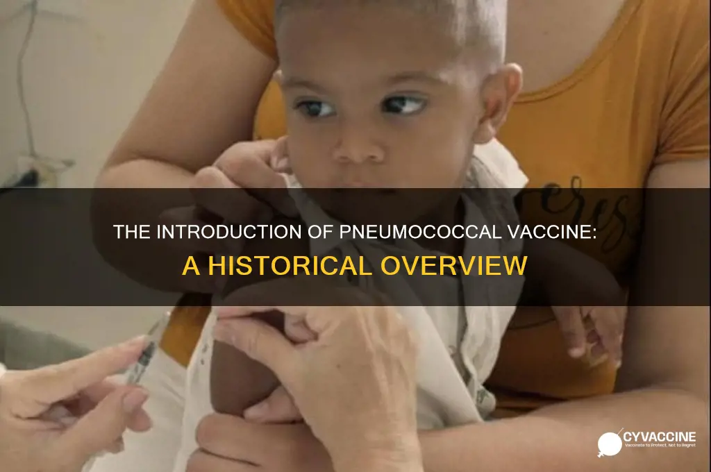 when was the pneumococcal vaccine introduced