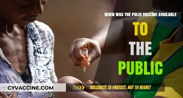 Polio Vaccine: A Public Health Milestone and Its Release Date