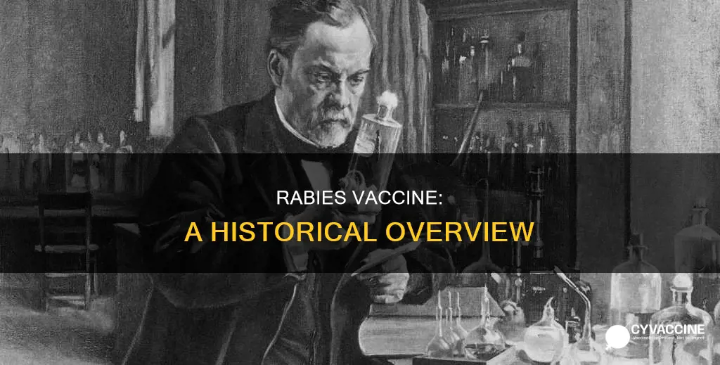 when was the rabies vaccine invented for humans
