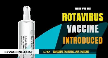 Rotavirus Vaccine Introduction: A Timeline of Its Global Implementation