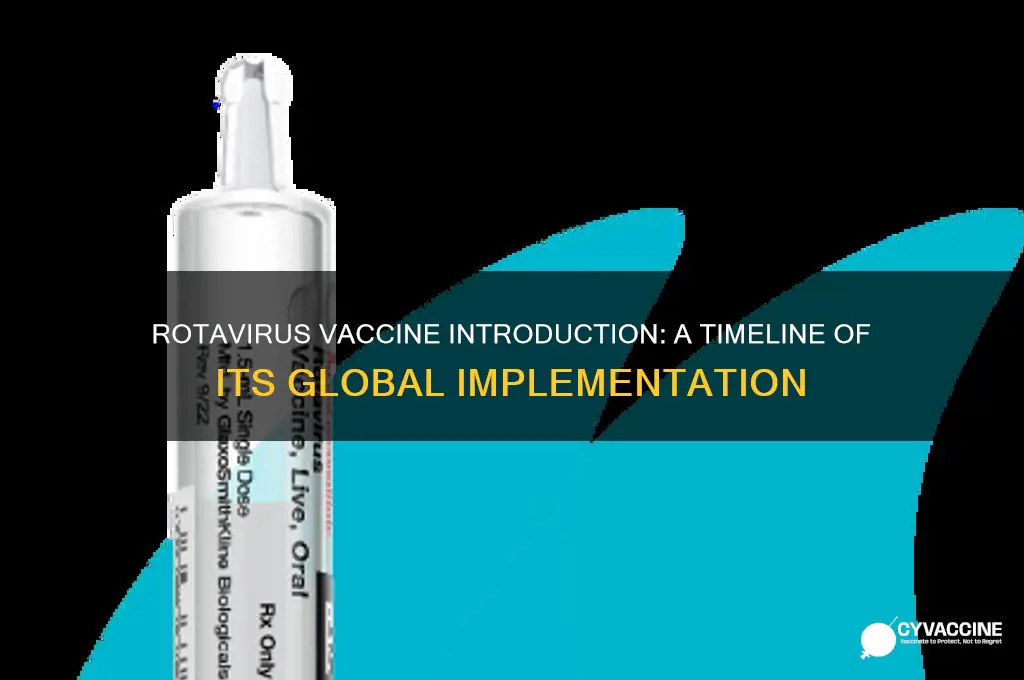 when was the rotavirus vaccine introduced
