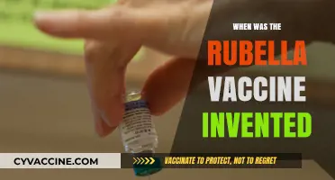 The Invention of the Rubella Vaccine: A Historical Breakthrough
