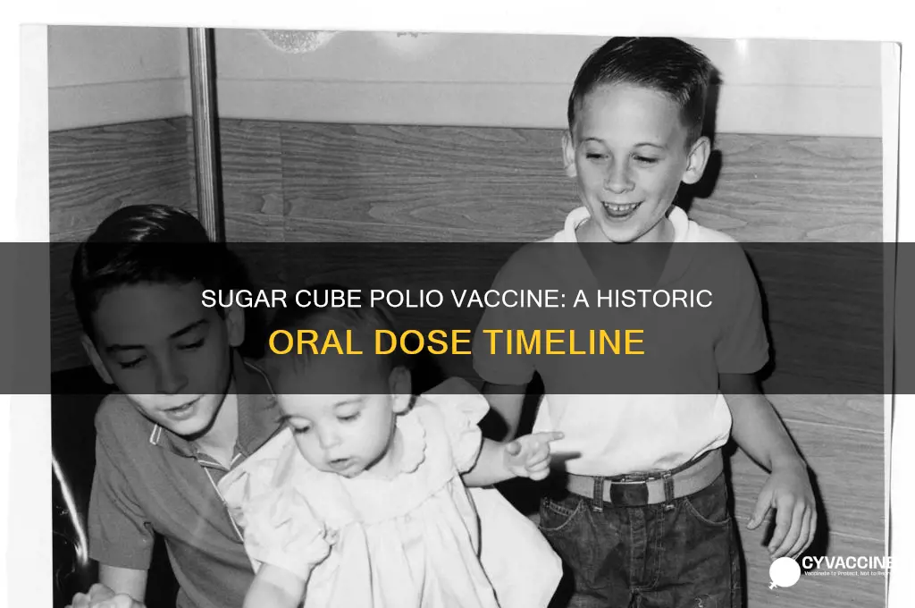 when was the sugar cube polio vaccine administered
