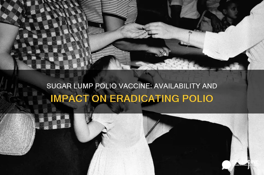 when was the sugar lump vaccine for polio available