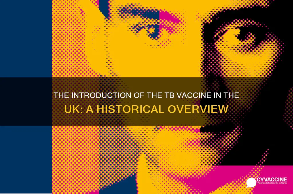 when was the tb vaccine introduced in the uk