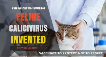 The Invention of Feline Calicivirus Vaccine: A Historical Overview