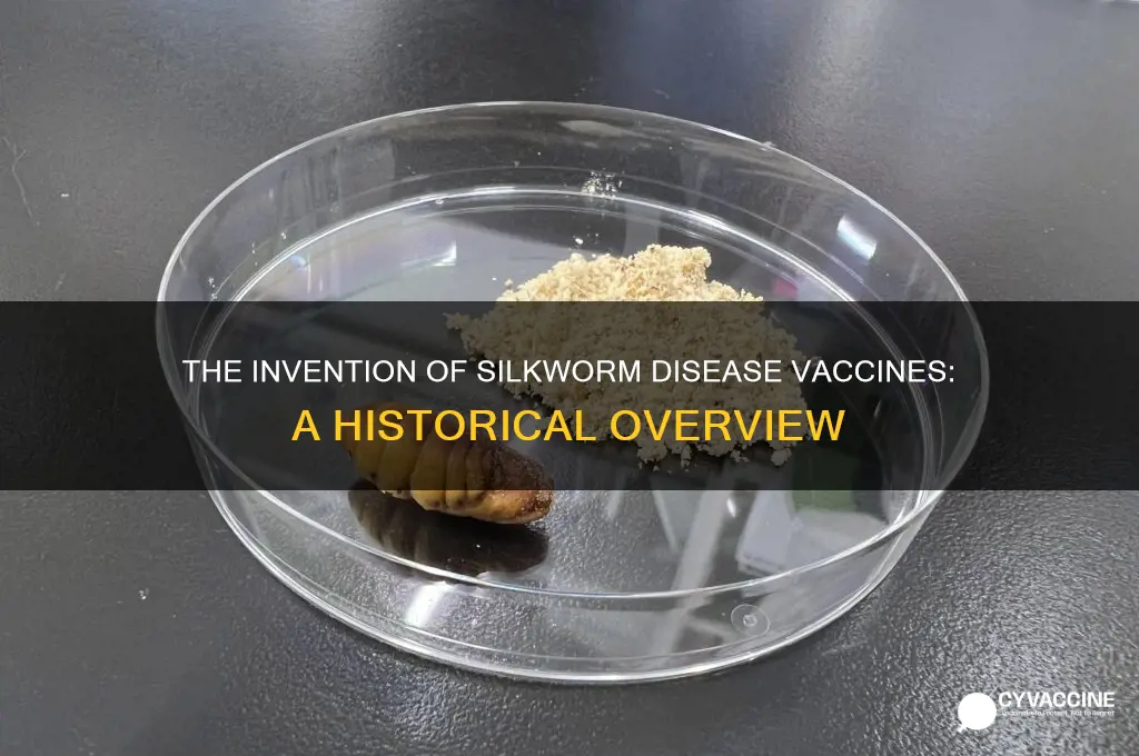 when was the vaccine for silkworm diseases invented