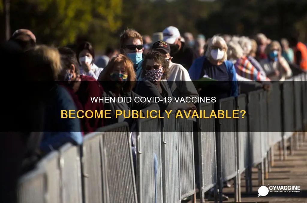 when was the vaccine open to the public