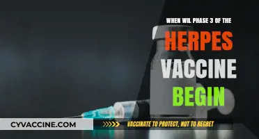 Herpes Vaccine Phase 3 Trials: Anticipated Start Date and Updates