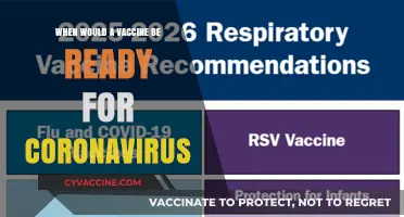 When Can We Expect a Coronavirus Vaccine to Be Ready?